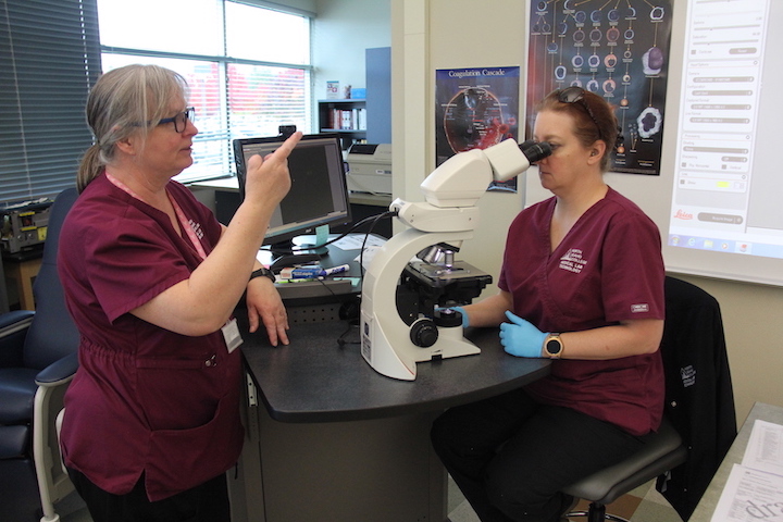 Medical Laboratory Technology Program Director Sonja Nehr-Kanet instructs a student in the  lab.